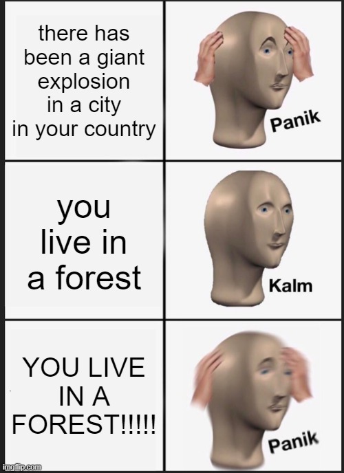 Panik Kalm Panik Meme | there has been a giant explosion in a city in your country; you live in a forest; YOU LIVE IN A FOREST!!!!! | image tagged in memes,panik kalm panik | made w/ Imgflip meme maker