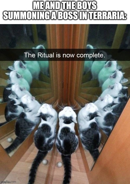 Terraria in a nutshell | ME AND THE BOYS SUMMONING A BOSS IN TERRARIA: | image tagged in the ritual is now complete,terraria | made w/ Imgflip meme maker