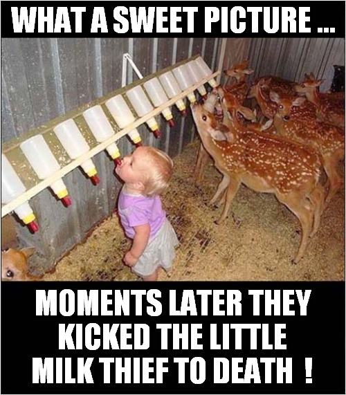 Evil Fawn Retribution ! | WHAT A SWEET PICTURE ... MOMENTS LATER THEY KICKED THE LITTLE MILK THIEF TO DEATH  ! | image tagged in child,milk,deer,kicked,death,dark humour | made w/ Imgflip meme maker