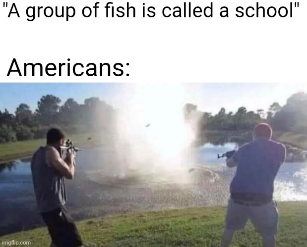 "A group of fish is called a school"; Americans: | image tagged in school shooter,america | made w/ Imgflip meme maker