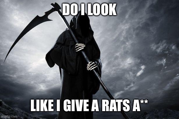 Death | DO I LOOK LIKE I GIVE A RATS A** | image tagged in death | made w/ Imgflip meme maker