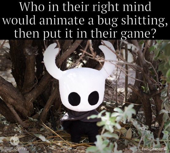 If you know, you know. | Who in their right mind would animate a bug shitting, then put it in their game? | image tagged in the knight / ghost plushie | made w/ Imgflip meme maker