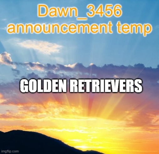 Dawn_3456 announcement | GOLDEN RETRIEVERS | image tagged in dawn_3456 announcement | made w/ Imgflip meme maker