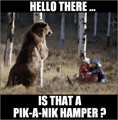 That's A 'Friendly' Bear ! | HELLO THERE ... IS THAT A PIK-A-NIK HAMPER ? | image tagged in friendly,bear | made w/ Imgflip meme maker