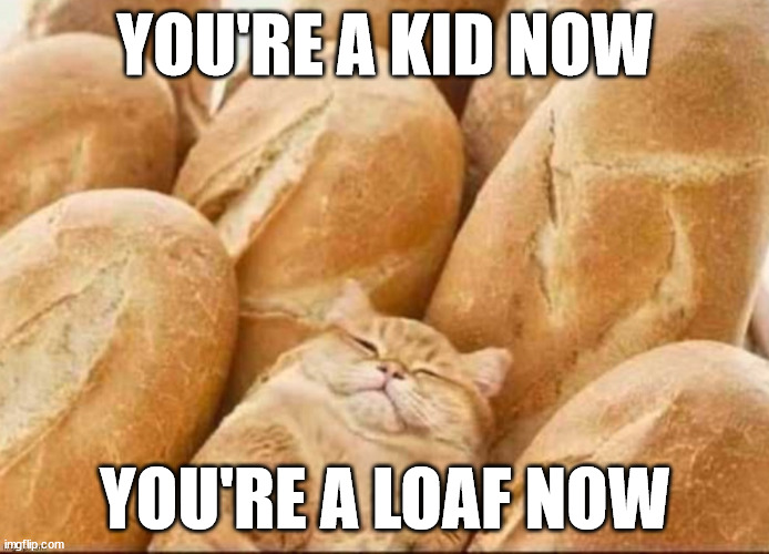 you're a kid you're a loaf you're a kid you're a loaf | YOU'RE A KID NOW; YOU'RE A LOAF NOW | image tagged in camo cat loaf | made w/ Imgflip meme maker