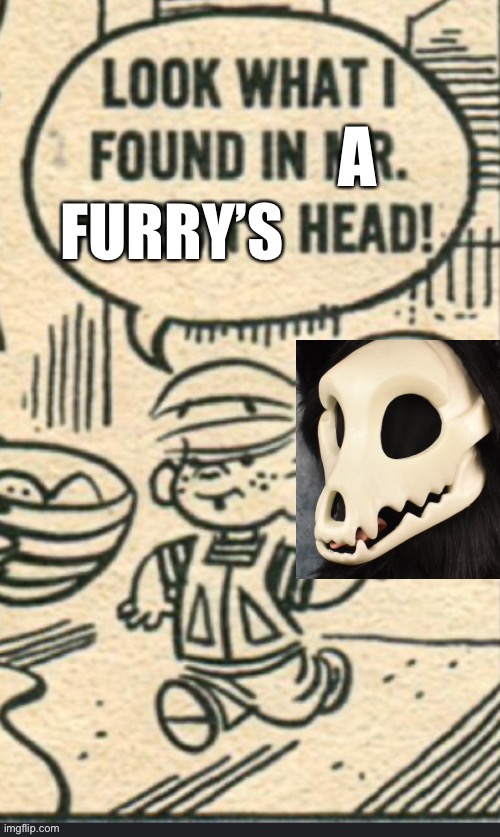 Mad Cartoon Furry Meme Blank Meme Template