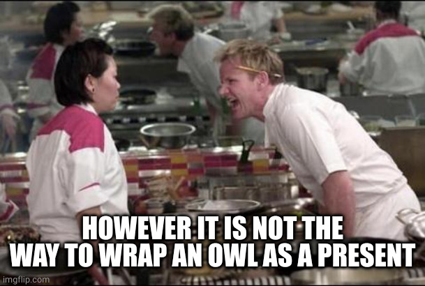 Angry Chef Gordon Ramsay Meme | HOWEVER IT IS NOT THE WAY TO WRAP AN OWL AS A PRESENT | image tagged in memes,angry chef gordon ramsay | made w/ Imgflip meme maker