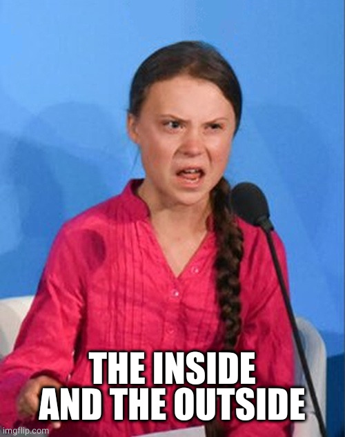 Greta Thunberg how dare you | THE INSIDE AND THE OUTSIDE | image tagged in greta thunberg how dare you | made w/ Imgflip meme maker