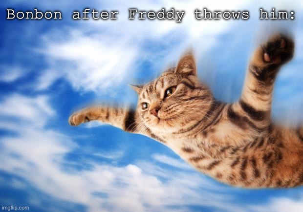 NYROOM | Bonbon after Freddy throws him: | image tagged in flying-cat | made w/ Imgflip meme maker