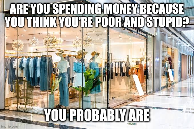Shopping addict |  ARE YOU SPENDING MONEY BECAUSE YOU THINK YOU'RE POOR AND STUPID? YOU PROBABLY ARE | image tagged in memes | made w/ Imgflip meme maker