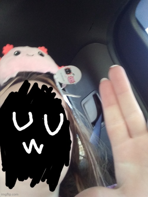 Plushie I got at the aquarium (it was awesome!) | made w/ Imgflip meme maker