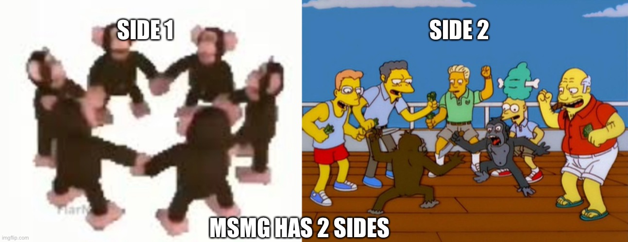 msmg in a nutshell | SIDE 2; SIDE 1; MSMG HAS 2 SIDES | made w/ Imgflip meme maker