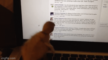 Just Checking My Facebook Page - Imgflip