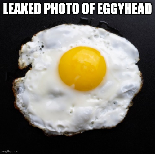 Eggs | LEAKED PHOTO OF EGGYHEAD | image tagged in eggs | made w/ Imgflip meme maker