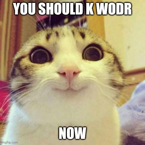 I am baells | YOU SHOULD K WODR; NOW | image tagged in memes,smiling cat | made w/ Imgflip meme maker