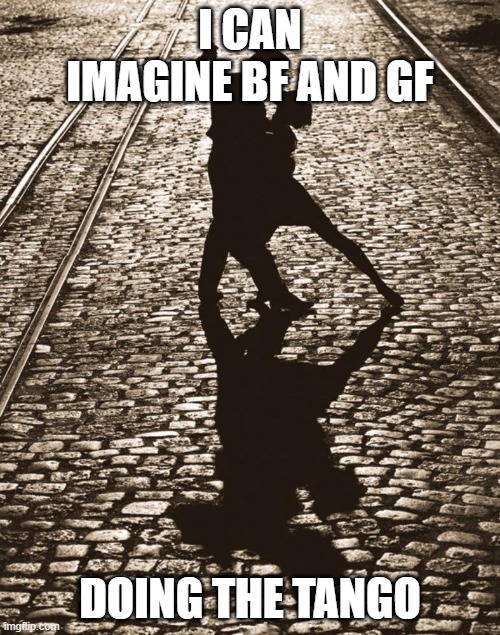 My opinion | I CAN IMAGINE BF AND GF; DOING THE TANGO | image tagged in tango | made w/ Imgflip meme maker