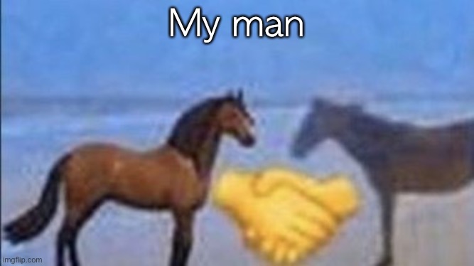 horse handshake my man | My man | image tagged in horse handshake my man | made w/ Imgflip meme maker