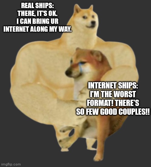 Want wifi on the go? Hop on an ship with strong internet! | REAL SHIPS: THERE, IT'S OK. I CAN BRING UR INTERNET ALONG MY WAY. INTERNET SHIPS: I'M THE WORST FORMAT! THERE'S SO FEW GOOD COUPLES!! | image tagged in buff doge hugs cheems transparent,aww | made w/ Imgflip meme maker