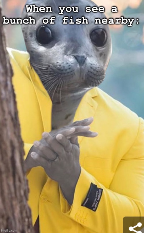 FISH ARE FRIENDS, NOT FOOD | When you see a bunch of fish nearby: | image tagged in seal | made w/ Imgflip meme maker