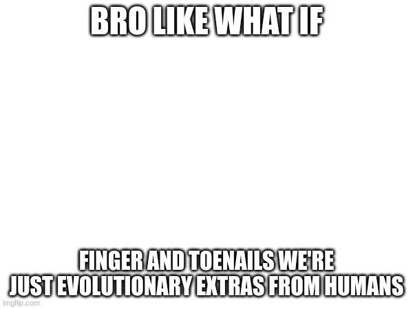 ] | BRO LIKE WHAT IF; FINGER AND TOENAILS WE'RE JUST EVOLUTIONARY EXTRAS FROM HUMANS | image tagged in what | made w/ Imgflip meme maker