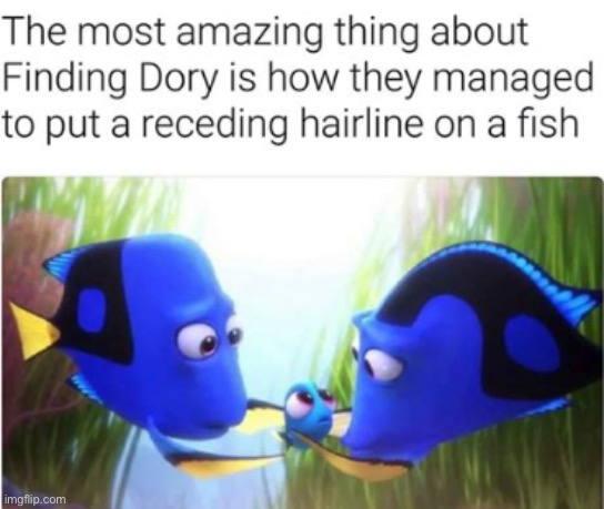 image tagged in finding dory,good job | made w/ Imgflip meme maker