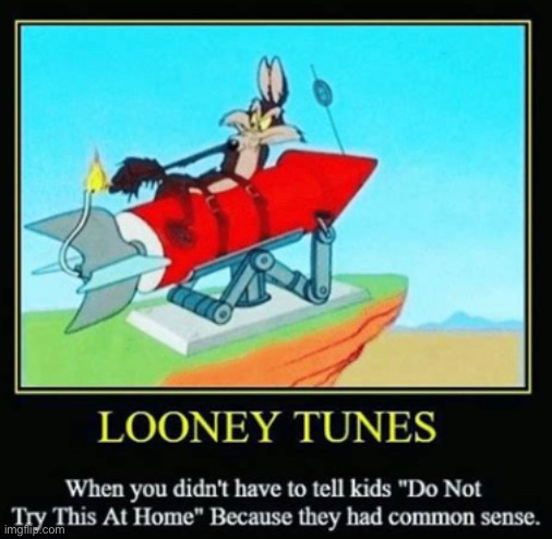 image tagged in looney tunes,do not try this at home | made w/ Imgflip meme maker