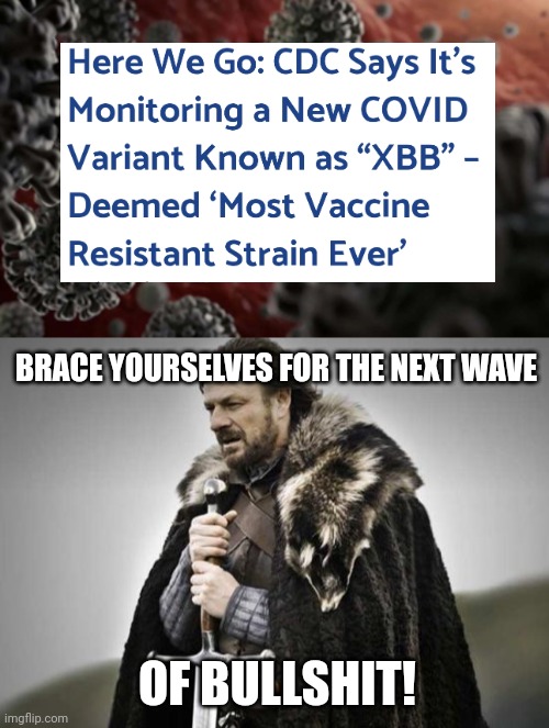 Coming in hot, steaming hot.  | BRACE YOURSELVES FOR THE NEXT WAVE; OF BULLSHIT! | image tagged in prepare yourself | made w/ Imgflip meme maker