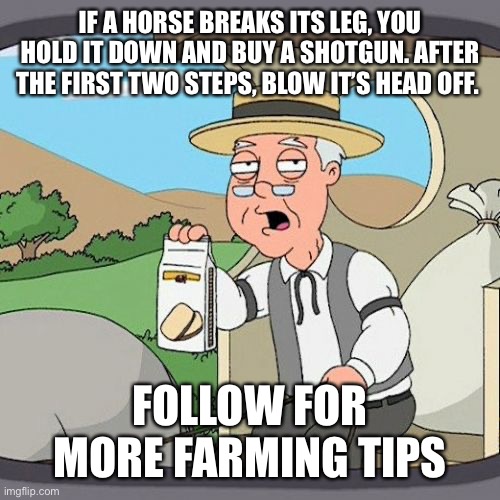 Pepperidge Farm Remembers | IF A HORSE BREAKS ITS LEG, YOU HOLD IT DOWN AND BUY A SHOTGUN. AFTER THE FIRST TWO STEPS, BLOW IT’S HEAD OFF. FOLLOW FOR MORE FARMING TIPS | image tagged in memes,pepperidge farm remembers | made w/ Imgflip meme maker