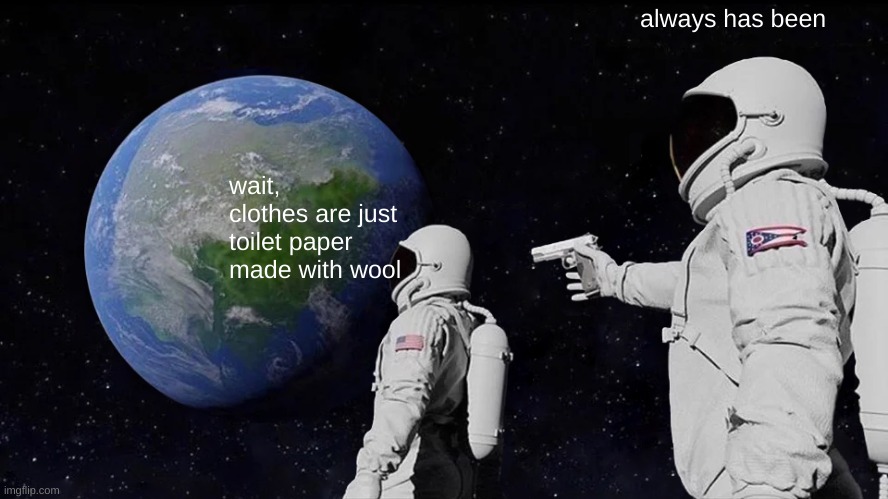 Always Has Been Meme | wait, clothes are just toilet paper made with wool always has been | image tagged in memes,always has been | made w/ Imgflip meme maker