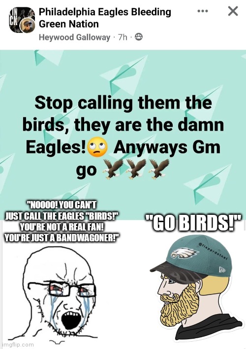 "NOOOO! YOU CAN'T JUST CALL THE EAGLES "BIRDS!" YOU'RE NOT A REAL FAN! YOU'RE JUST A BANDWAGONER!"; "GO BIRDS!" | image tagged in philadelphia eagles | made w/ Imgflip meme maker