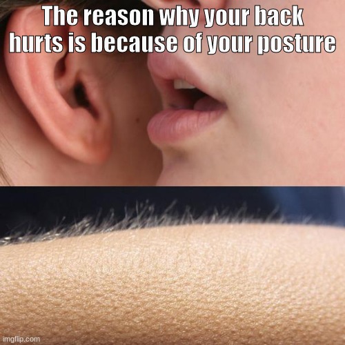 Whisper and Goosebumps | The reason why your back hurts is because of your posture | image tagged in whisper and goosebumps | made w/ Imgflip meme maker