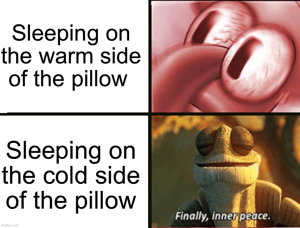 I literally can not fall asleep in a warm bed, it’s very strange |  Sleeping on the warm side of the pillow; Sleeping on the cold side of the pillow | image tagged in memes,funny,true story,relatable memes,sleeping,finally inner peace | made w/ Imgflip meme maker