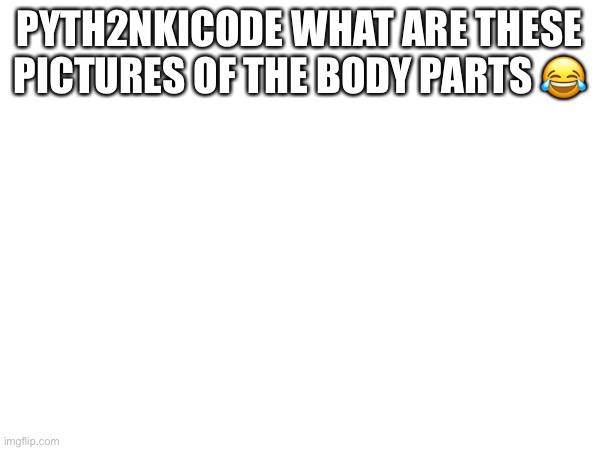 PYTH2NKICODE WHAT ARE THESE PICTURES OF THE BODY PARTS 😂 | made w/ Imgflip meme maker