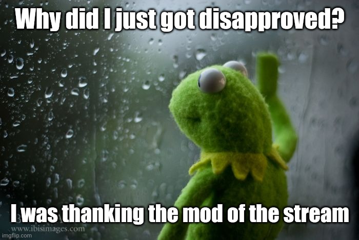 Sorry... | Why did I just got disapproved? I was thanking the mod of the stream | image tagged in kermit window,iceu,memes,sorry | made w/ Imgflip meme maker