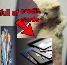 High Quality cat full of credit cards Blank Meme Template