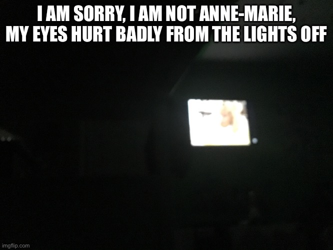 I AM SORRY, I AM NOT ANNE-MARIE, MY EYES HURT BADLY FROM THE LIGHTS OFF | made w/ Imgflip meme maker