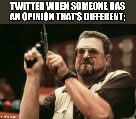 Am I The Only One Around Here Meme | TWITTER WHEN SOMEONE HAS AN OPINION THAT'S DIFFERENT; | image tagged in memes,am i the only one around here | made w/ Imgflip meme maker