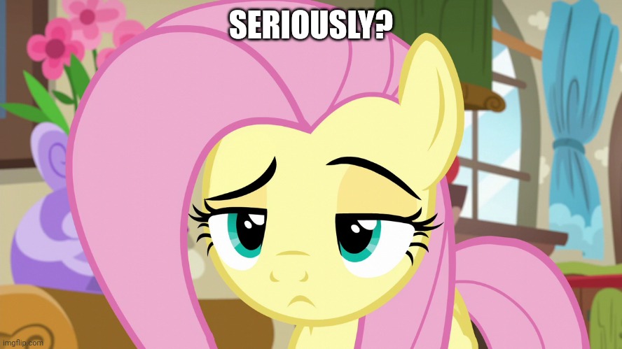 Skeptical Fluttershy (MLP) | SERIOUSLY? | image tagged in skeptical fluttershy mlp | made w/ Imgflip meme maker