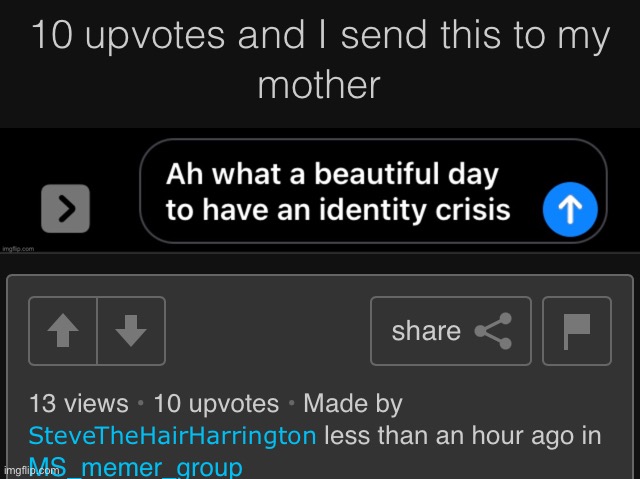 HDHSJDJSJSJ SHIT I DIDNT ACTUALLY EXPECT IT TO GET 10 UPVOTES | made w/ Imgflip meme maker
