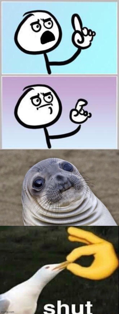 image tagged in wait what,memes,awkward moment sealion,shut | made w/ Imgflip meme maker