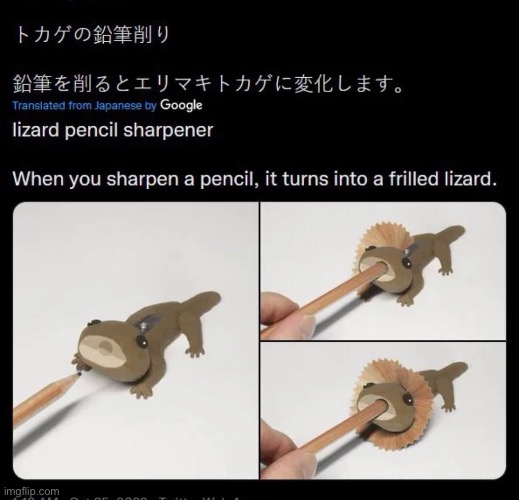 I am the lizard pencil | image tagged in lizard,pencil,sharpener | made w/ Imgflip meme maker