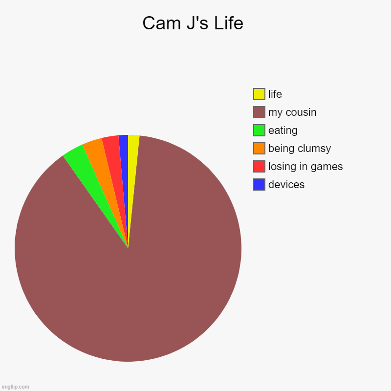 Cam J's Life | devices, losing in games, being clumsy, eating, my cousin, life | image tagged in charts,pie charts | made w/ Imgflip chart maker