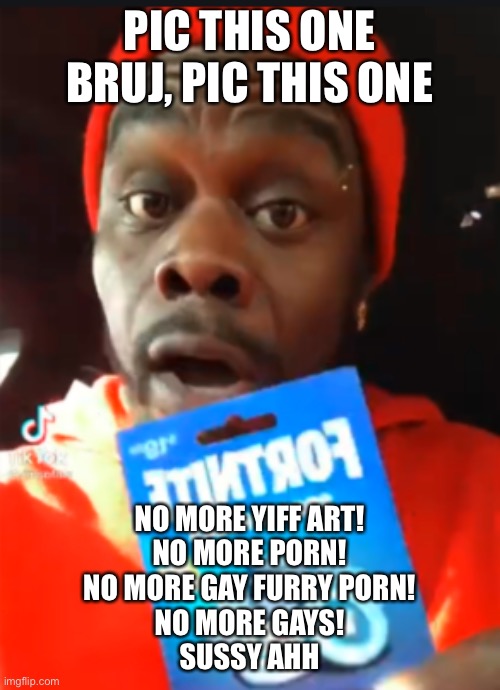 19 dollar fornite card | PIC THIS ONE BRUJ, PIC THIS ONE NO MORE YIFF ART!
NO MORE PORN!
NO MORE GAY FURRY PORN!
NO MORE GAYS!
SUSSY AHH | image tagged in 19 dollar fornite card | made w/ Imgflip meme maker