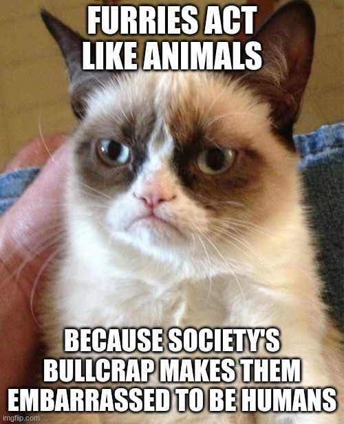 the accurate reason | FURRIES ACT LIKE ANIMALS; BECAUSE SOCIETY'S BULLCRAP MAKES THEM EMBARRASSED TO BE HUMANS | image tagged in memes,grumpy cat | made w/ Imgflip meme maker