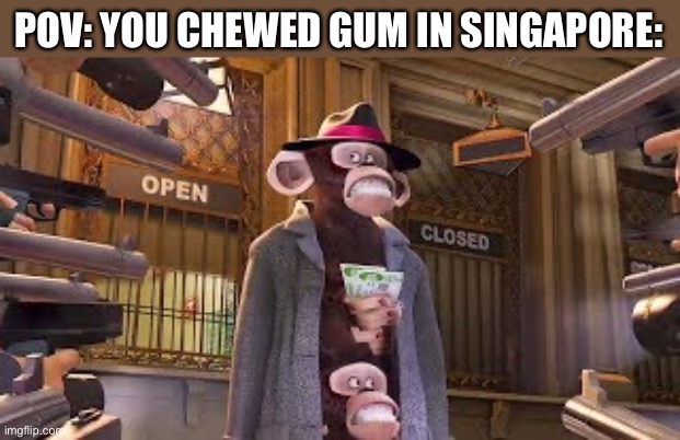 Chewing Gum in Singapore |  POV: YOU CHEWED GUM IN SINGAPORE: | image tagged in monkeys get caught,memes,singapore,gum,funny,caught | made w/ Imgflip meme maker