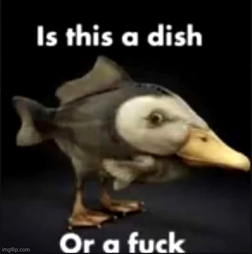 If this gets 5 comments I will literally eat water | image tagged in balls,memes | made w/ Imgflip meme maker