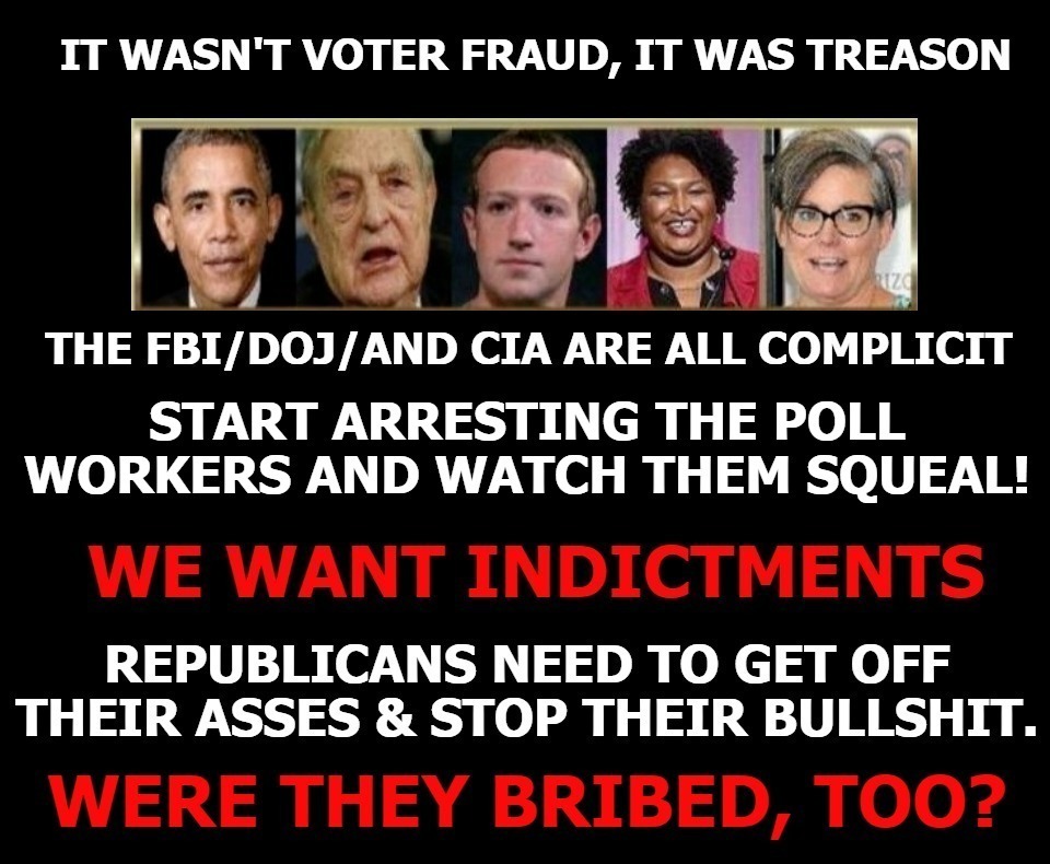 It wasn't voter fraud, it was TREASON! - Imgflip