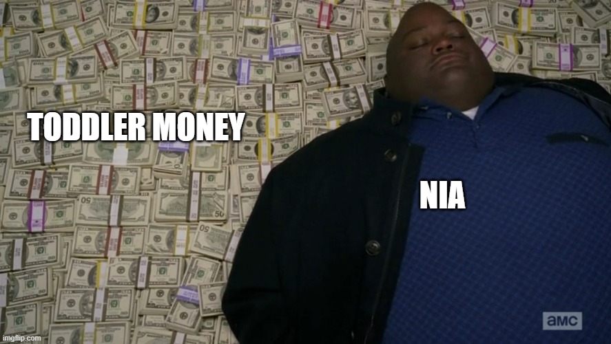 guy sleeping on pile of money | TODDLER MONEY; NIA | image tagged in guy sleeping on pile of money | made w/ Imgflip meme maker