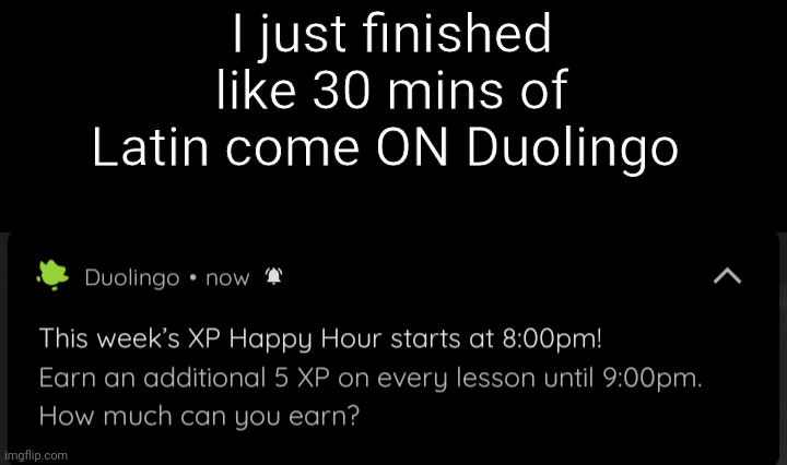 I just finished like 30 mins of Latin come ON Duolingo | image tagged in duolingo | made w/ Imgflip meme maker