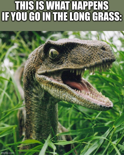 You'll probably get it from The Lost World | THIS IS WHAT HAPPENS IF YOU GO IN THE LONG GRASS: | image tagged in raptor tall grass,jurassic park,jurassic world,dinosaur,velociraptor,raptor | made w/ Imgflip meme maker